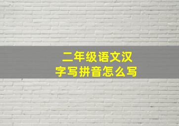 二年级语文汉字写拼音怎么写