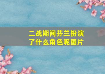 二战期间芬兰扮演了什么角色呢图片