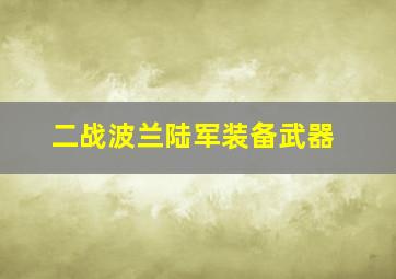 二战波兰陆军装备武器