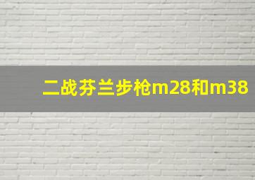 二战芬兰步枪m28和m38