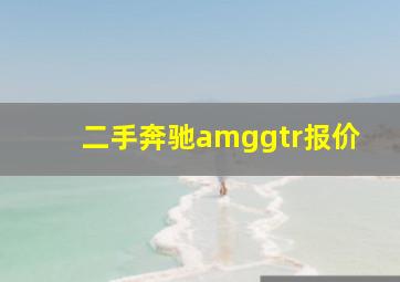 二手奔驰amggtr报价