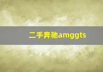 二手奔驰amggts