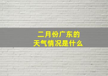 二月份广东的天气情况是什么