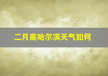 二月底哈尔滨天气如何