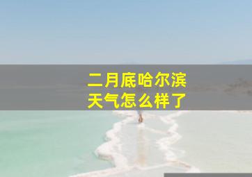 二月底哈尔滨天气怎么样了