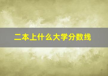 二本上什么大学分数线