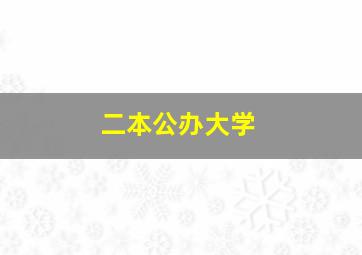 二本公办大学