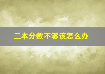 二本分数不够该怎么办