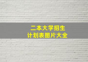 二本大学招生计划表图片大全