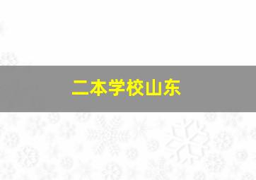 二本学校山东