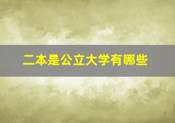 二本是公立大学有哪些