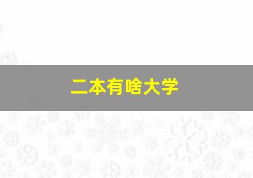 二本有啥大学