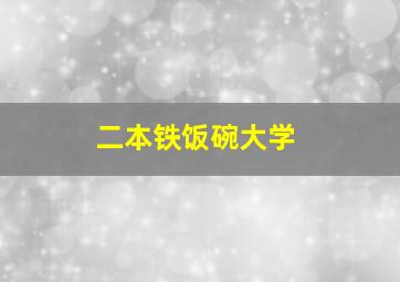 二本铁饭碗大学