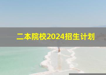 二本院校2024招生计划