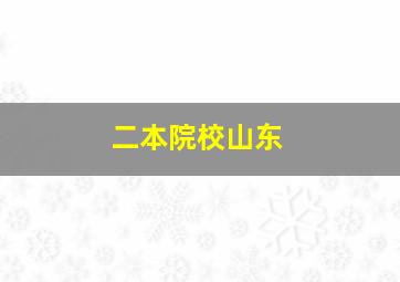 二本院校山东