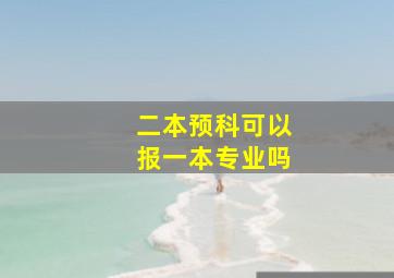 二本预科可以报一本专业吗