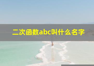 二次函数abc叫什么名字