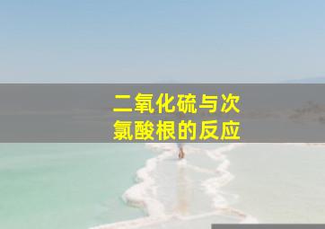 二氧化硫与次氯酸根的反应