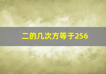 二的几次方等于256