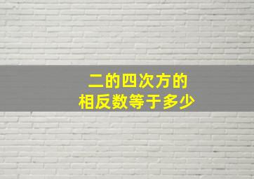 二的四次方的相反数等于多少