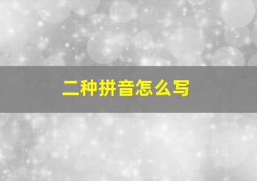 二种拼音怎么写