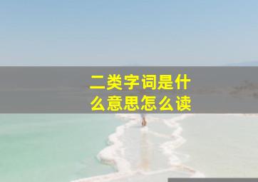 二类字词是什么意思怎么读