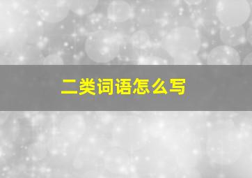 二类词语怎么写