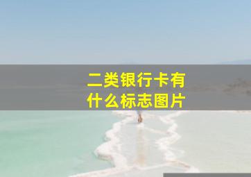 二类银行卡有什么标志图片