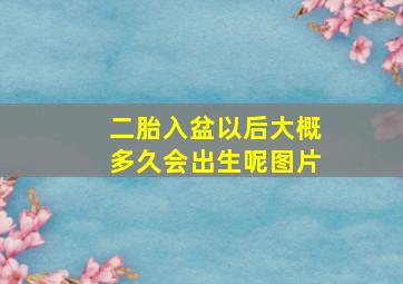 二胎入盆以后大概多久会出生呢图片