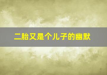 二胎又是个儿子的幽默