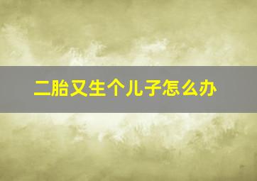 二胎又生个儿子怎么办