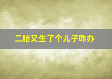 二胎又生了个儿子咋办