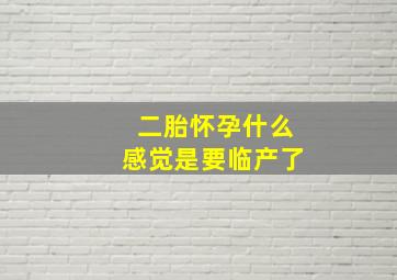 二胎怀孕什么感觉是要临产了