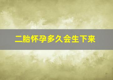 二胎怀孕多久会生下来