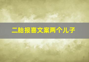 二胎报喜文案两个儿子