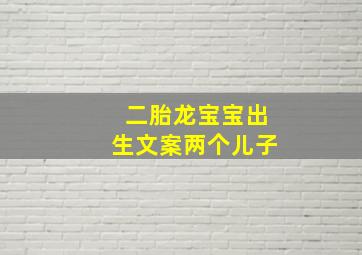 二胎龙宝宝出生文案两个儿子