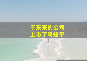 于东来的公司上市了吗知乎