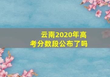 云南2020年高考分数段公布了吗