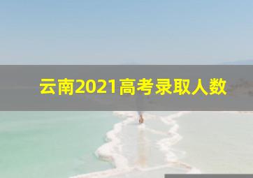 云南2021高考录取人数