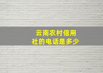 云南农村信用社的电话是多少