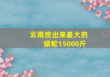 云南挖出来最大的蟒蛇15000斤