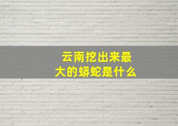 云南挖出来最大的蟒蛇是什么