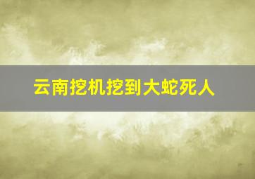 云南挖机挖到大蛇死人