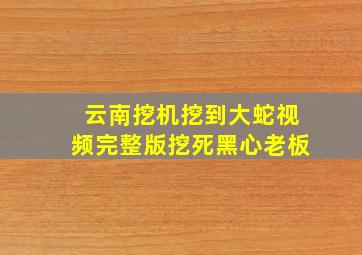 云南挖机挖到大蛇视频完整版挖死黑心老板