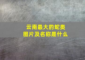 云南最大的蛇类图片及名称是什么