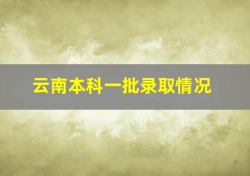 云南本科一批录取情况