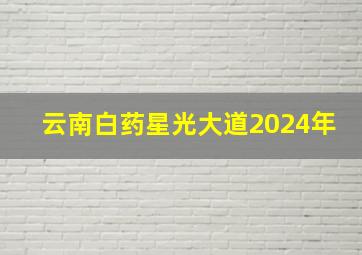 云南白药星光大道2024年