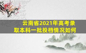 云南省2021年高考录取本科一批投档情况如何