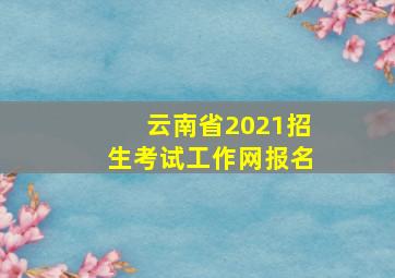 云南省2021招生考试工作网报名