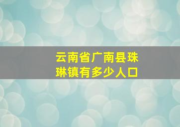 云南省广南县珠琳镇有多少人口